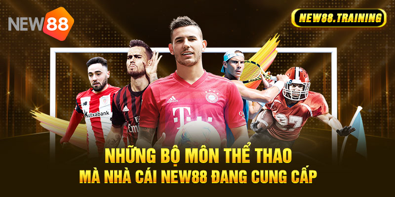 Các bộ môn cá cược thể thao New88