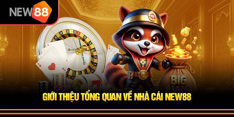 Tổng hợp thông tin nhà cái NEW88 Update 2026